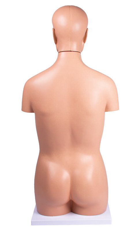 Torso, geschlechtslos, 12 Teile Torso, geschlechtslos, 12 Teile
