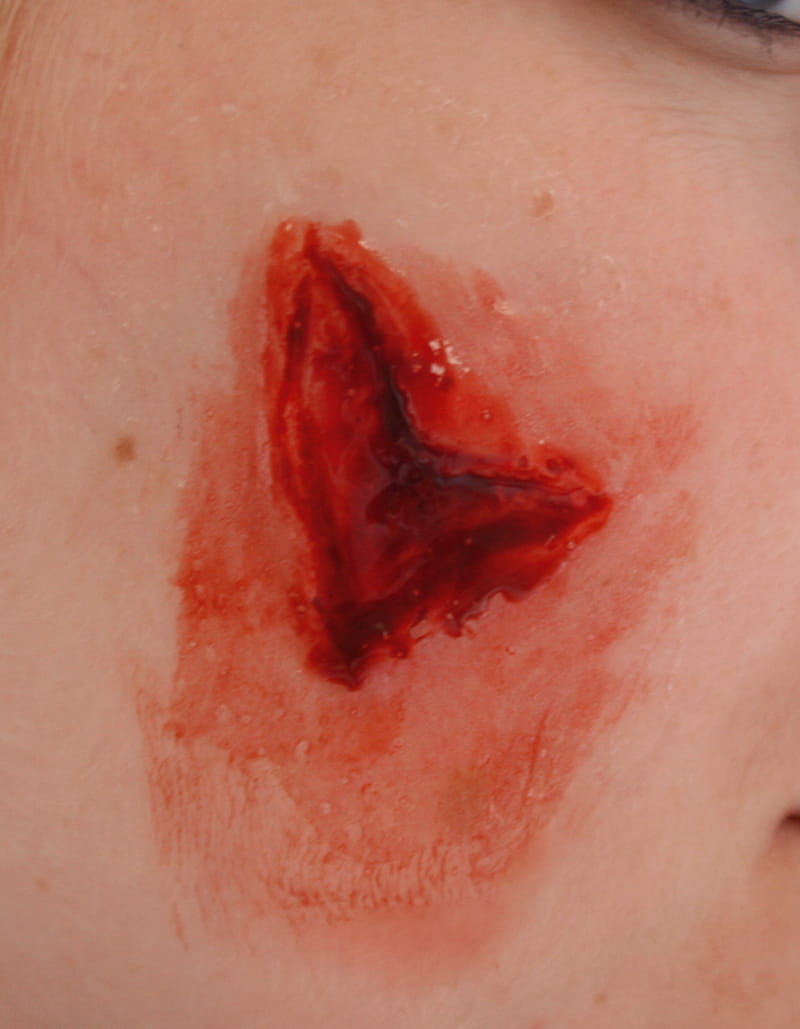 EZ WOUNDS WUNDENSIMULATIONSSET „PROFESSIONAL“ EZ WOUNDS WUNDENSIMULATIONSSET „PROFESSIONAL“