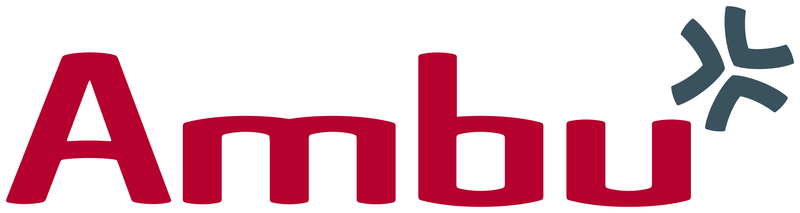 AMBU